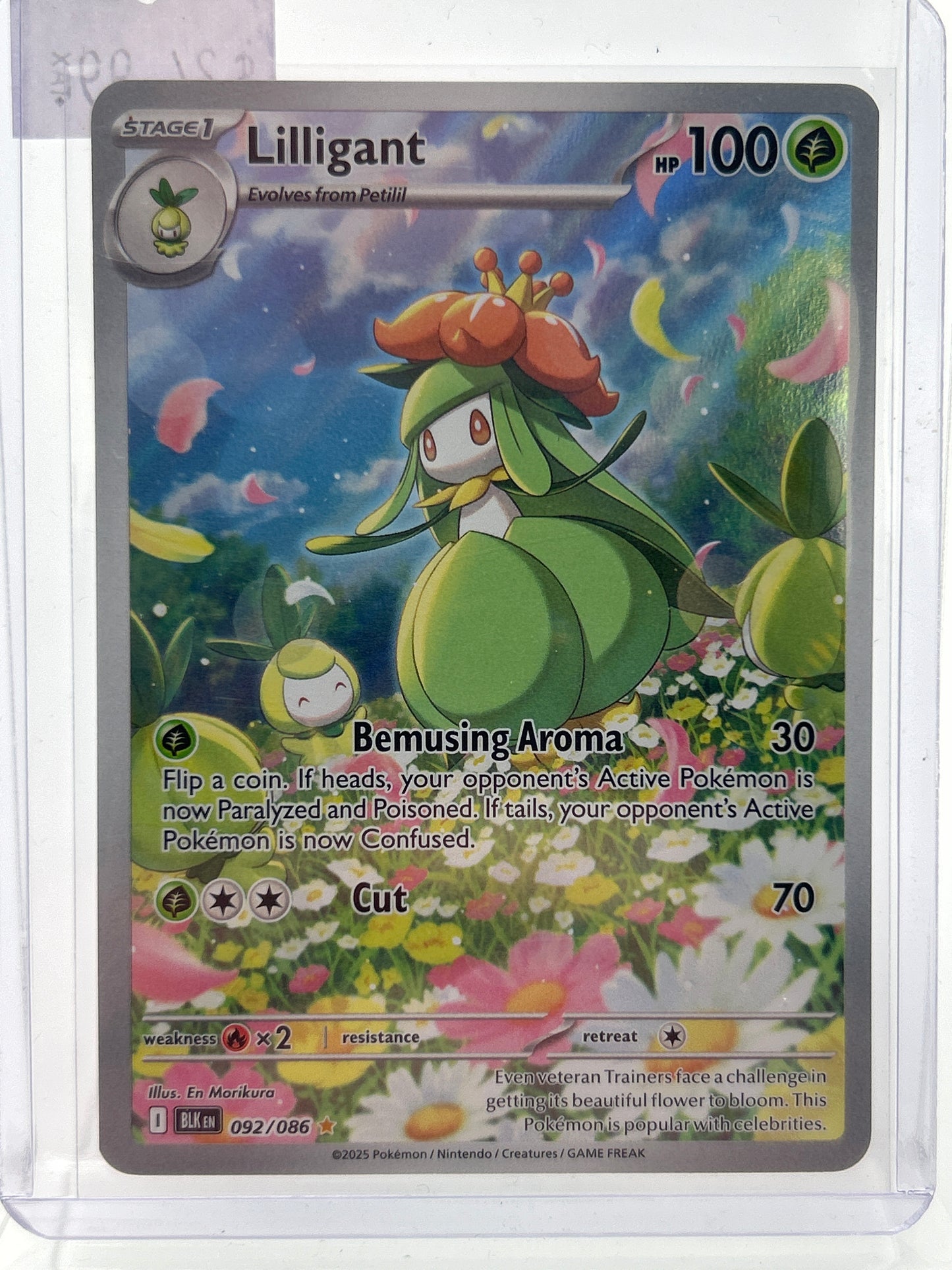 Pokémon TCG Black Bolt lilligant 92 English