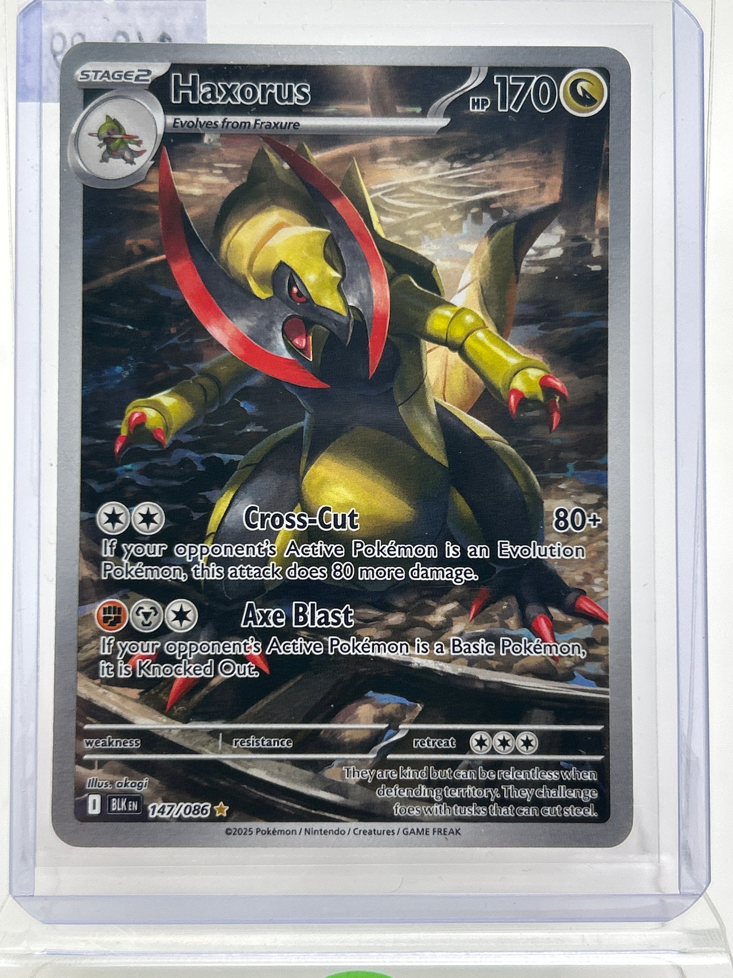 Pokémon TCG Black Bolt Haxorus 147 Holo English