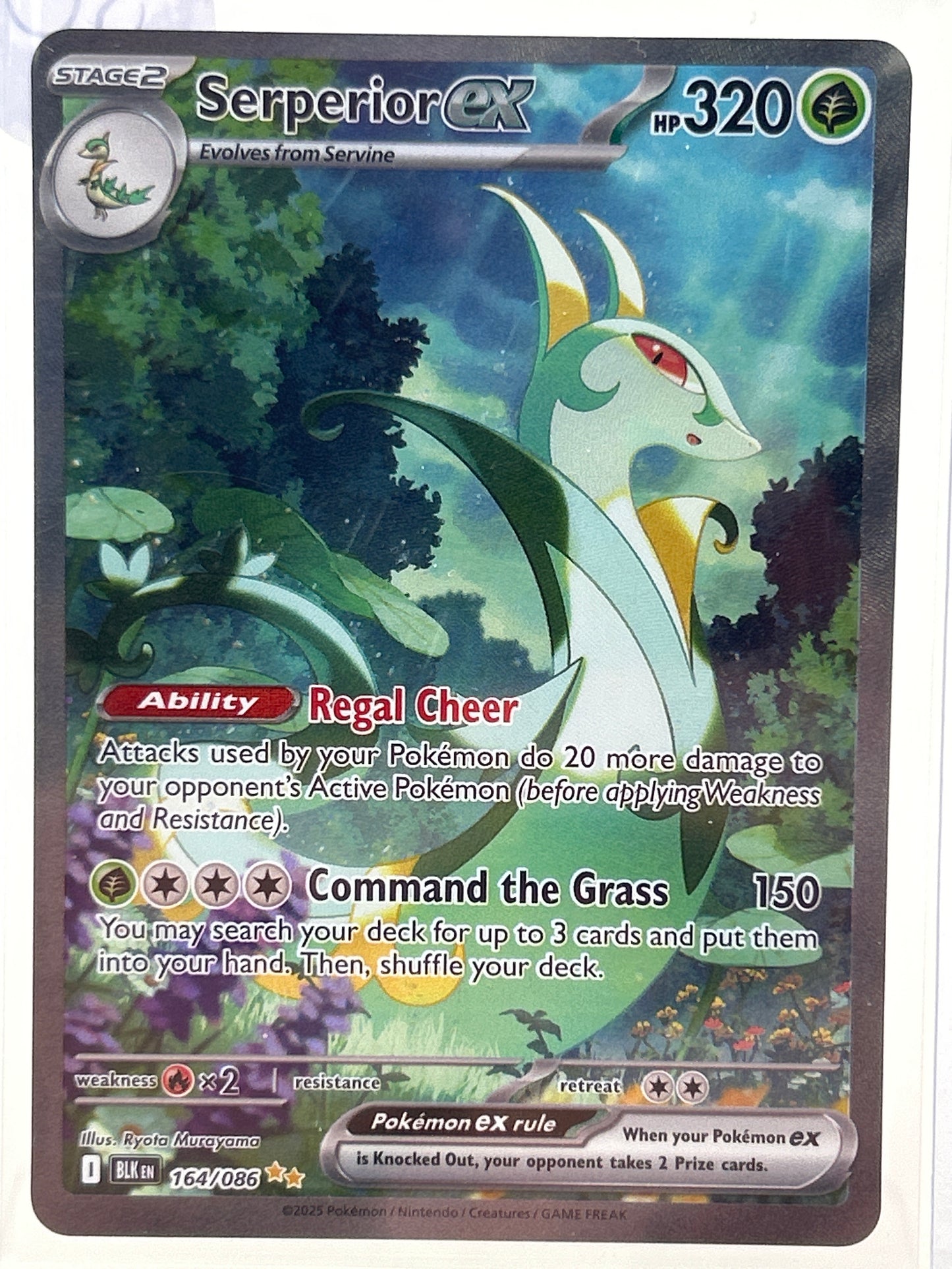 Pokémon TCG Black Bolt Serperior EX 164 English