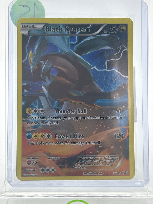 Pokémon TCG Pokemon Promo Black Kyurem XY80 English