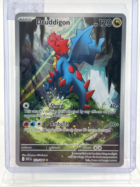 Pokémon TCG White Flare Druddigon 151/086 Holo English