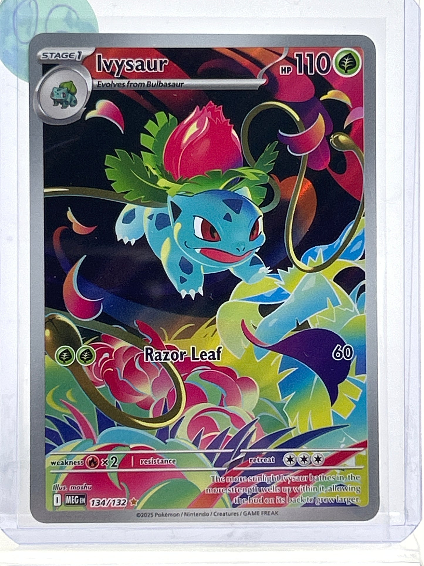 Pokémon TCG Mega Evolution Ivysaur 134 English