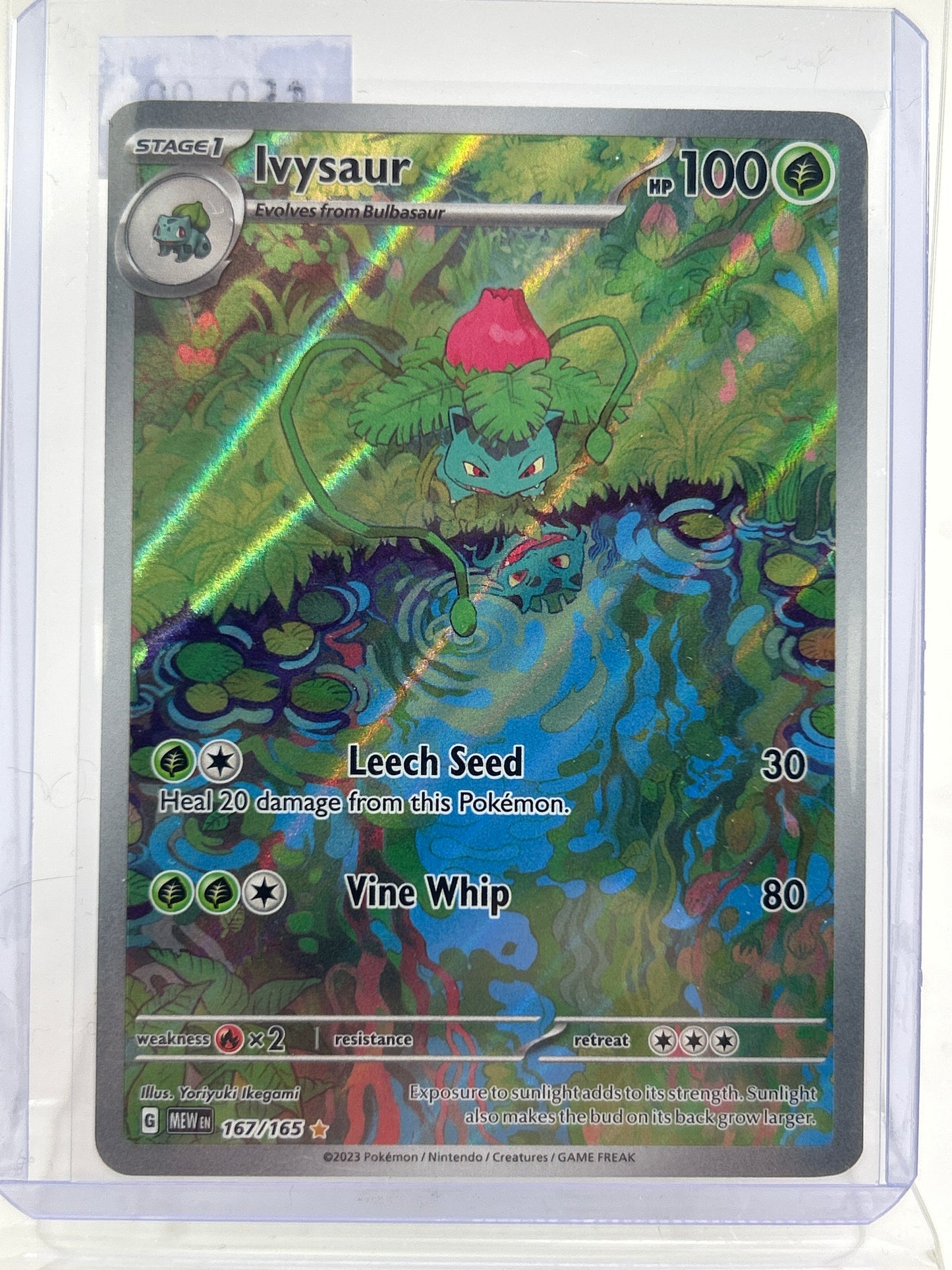 Pokémon TCG Scarlet & Violet: 151 Ivysaur 167/165 Holo English