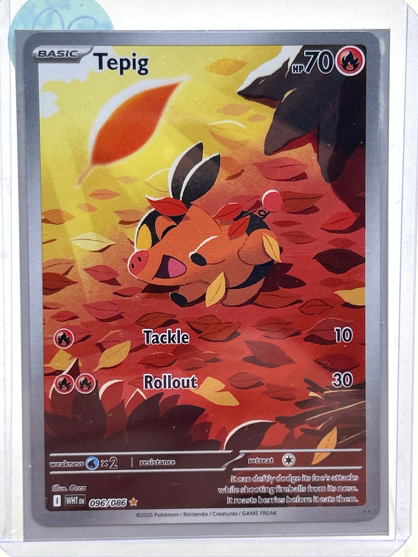 Pokémon TCG White Flare Tepig 96 English