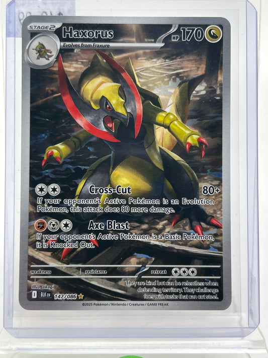 Pokémon TCG Black Bolt Haxorus 147 Holo English